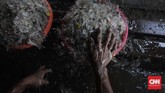 Data Asosisasi Daur Ulang Plastik Indonesia (ADUPI), industri daur ulang plastik saat ini berkembang pesat terutama untuk jenis plastik yang memiliki nilai ekonomis seperti Polyethylene Terephthalate (PET) dan Polypropylene (PP). (CNNIndonesia/Adhi Wicaksono)