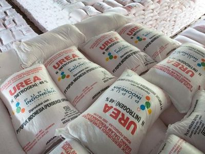 Turunkan Harga Pupuk 20%, Pupuk Indonesia Malah Untung Rp2,5 Triliun