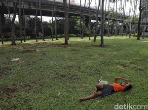 7 Taman di Jakarta Utara, Tiket Masuk Gratis