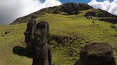 Patung itu juga disebut sebagai Moai, yang berjajar mendominasi bagian pulau Rano Raraku. Jika ‘panu’ menjangkiti mereka, patung-patung itu bisa jadi hanya kotak semata. (REUTERS/Jorge Vega)
