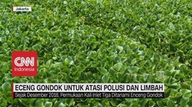 Eceng Gondok untuk Atasi Polusi & Limbah