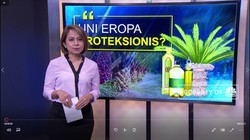 Proteksionisme Berbalut Julid Sawit Ala Eropa