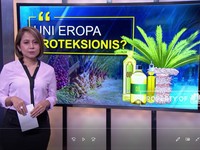 Proteksionisme Berbalut Julid Sawit Ala Eropa
