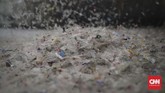 Setiap tahun, delapan juta ton sampah plastik dibuang ke lautan dunia dan berpotensi masuk dalam rantai pasokan makanan manusia. (CNNIndonesia/Adhi Wicaksono)