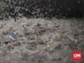 Dalam Sepekan, Manusia Telan 'Plastik Kartu Kredit'