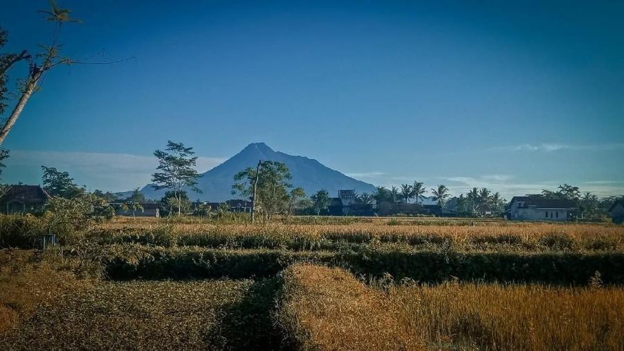 Saat tak erupsi atau sedang tenang, gunung-gunung berapi di Indonesia sebenarnya tampak cantik dan menakjubkan