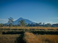 Astaga, Ada 16 Gunung Api Masuk Status Waspada!
