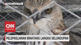 Pelepasliaran Hewan Langka Selundupan