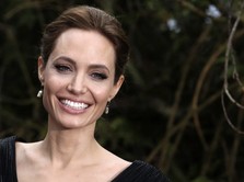 Rebutan Kilang Wine, Angelina Jolie Gugat Brad Pitt Rp3,7 T