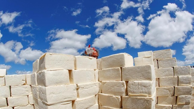 Peneliti Ungkap Tanda Kiamat Sudah Tampak Jelas dari Keju