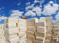 Peneliti Ungkap Tanda Kiamat Sudah Tampak Jelas dari Keju