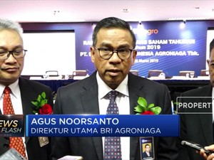 Laba BRI Agroniaga 2018 Tumbuh 45,71%