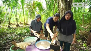VIDEO: Menjelajahi Alam Liar Halmahera Barat