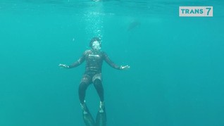 VIDEO: 'Spearfishing' bareng Chicco Jerikho di Halmahera