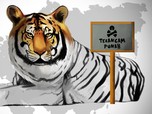 Harimau Liar Terancam Punah dari Indonesia