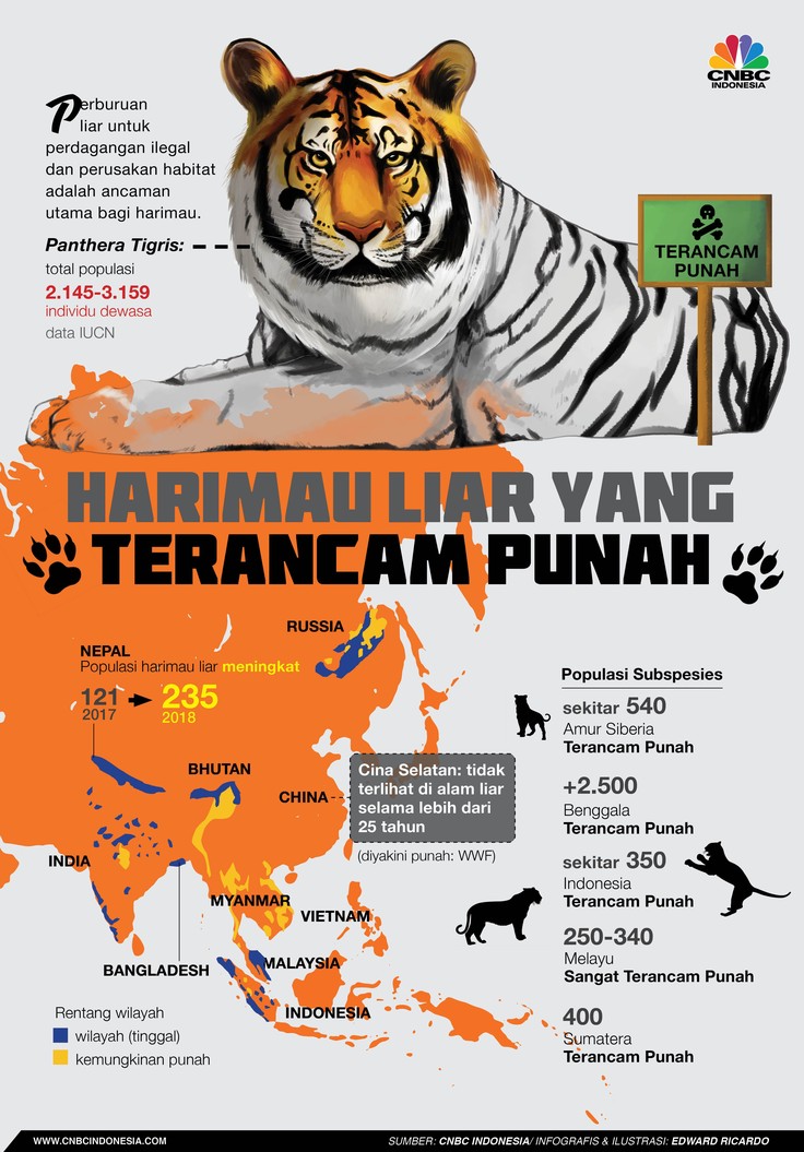 Jumlah harimau semakin menyusut di Indonesia dan negara-negara lain di Asia.
