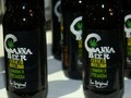 VIDEO: Festival Cannabico untuk Edukasi Ganja di Meksiko