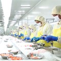 Saham CPIN Mulai Bangkit, Setelah Didera Koreksi Hingga 14%