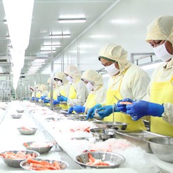 Saham CPIN Mulai Bangkit, Setelah Didera Koreksi Hingga 14%
