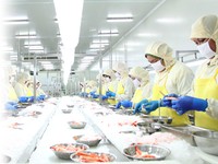 CPRO Dapat Suntikan Rp 1,33 T, Dari Keluarga Jiaravanon?