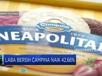 Laba Bersih Campina Naik 42,66% di 2018