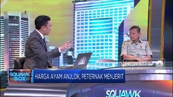 Strategi Kementan Atur Pasokan Ayam Jelang Ramadhan
