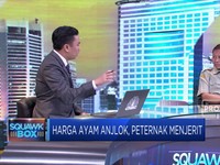 Strategi Kementan Atur Pasokan Ayam Jelang Ramadhan