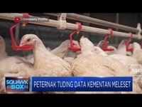 Harga Ayam Hidup Anjlok, Peternak Salahkan Kementan