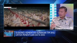 Soal Data Ayam Salah, Kementan: Bukan Kita yang Buat