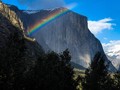 FOTO: Menjaga Keliaran Taman Nasional Yosemite