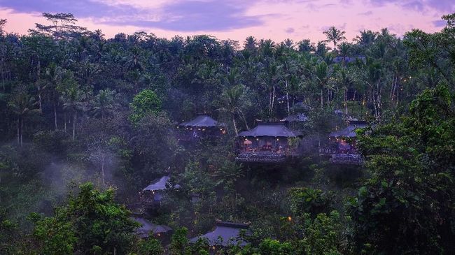 Ada Hotel Mewah di Tengah Rimbunnya Hutan Ubud