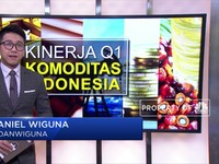 Begini Kinerja Kuartal I 2019 Komoditas Indonesia