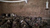 Tak disangka, pengunjungnya membeludak, termasuk dari dunia internasional. Dalam tiga bulan pertama setelah pembukaan, sudah 60 ribu orang pengunjungnya. (Jacques NKINZINGABO / AFP)