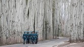 Di kota Bishkek, pasukan kehormatan Kirgistan berjalan setelah mengikuti perayaan penyambutan yang dihadiri Presiden Rusia Vladimir Putin dan Presiden Kirgistan Sooronbay Jeenbekov. (REUTERS/Maxim Shemetov)