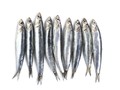 5 Manfaat Ikan Teri untuk Kesehatan