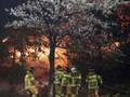 FOTO: Ribuan Orang Lari dari Kejaran Si Jago Merah di Korsel