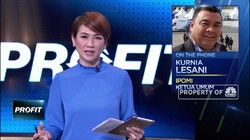 Penumpang Bus Naik Akibat Mahalnya Tiket Pesawat?