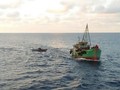 KSP Sebut Nelayan Butuh Kapal 150 GT di Natuna
