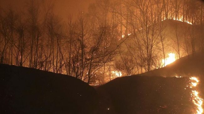 1000 Petugas Dikerahkan Atasi Kebakaran Hebat di Portugal