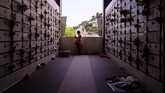 Saat Festival Ching Ming tiba, keluarga-keluarga di China mengunjungi makam leluhur untuk membersihkan kuburan, berdoa dan mengadakan persembahan ritual. (Photo by Anthony WALLACE / AFP)