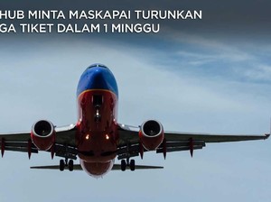 Harga Tiket Pesawat Mahal, Menhub Ultimatum Maskapai