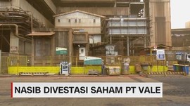 VIDEO: Nasib Divestasi Saham PT Vale
