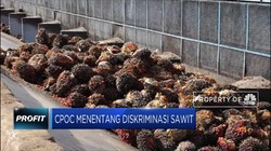 Negara Anggota CPOPC Tentang Diskriminasi Pada Sawit