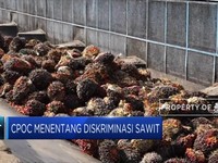 Negara Anggota CPOPC Tentang Diskriminasi Pada Sawit