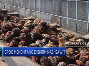 Negara Anggota CPOPC Tentang Diskriminasi Pada Sawit