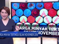 Ini Penyebab Harga Minyak Sentuh Level Tertinggi