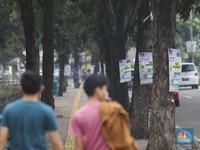 Penuh Sesak Pemandangan Alat Peraga Kampanye Jelang Pemilu