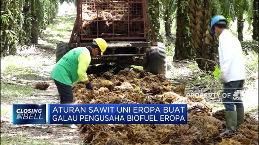Biofuel Indonesia