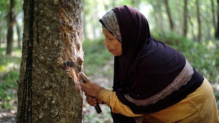 A rubber farmer taps a rubber tree in Narathiwat province, Thailand’s Deep South region, March 18, 2019. Picture taken March 18, 2019. REUTERS/Panu Wongcha-um