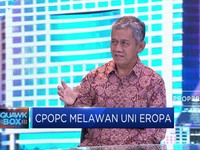 Gapki: Justru Uni Eropa yang Lakukan Deforestasi
